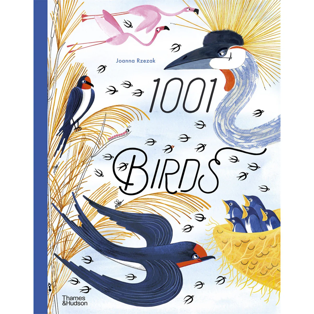 1001 Birds