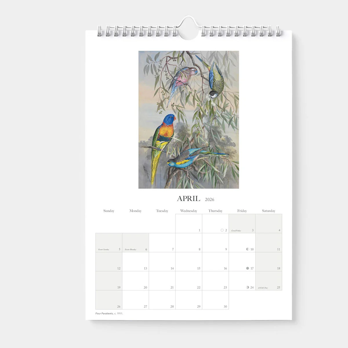 2026 Calendar Ellis Rowan - Blue Island Press - Image 2