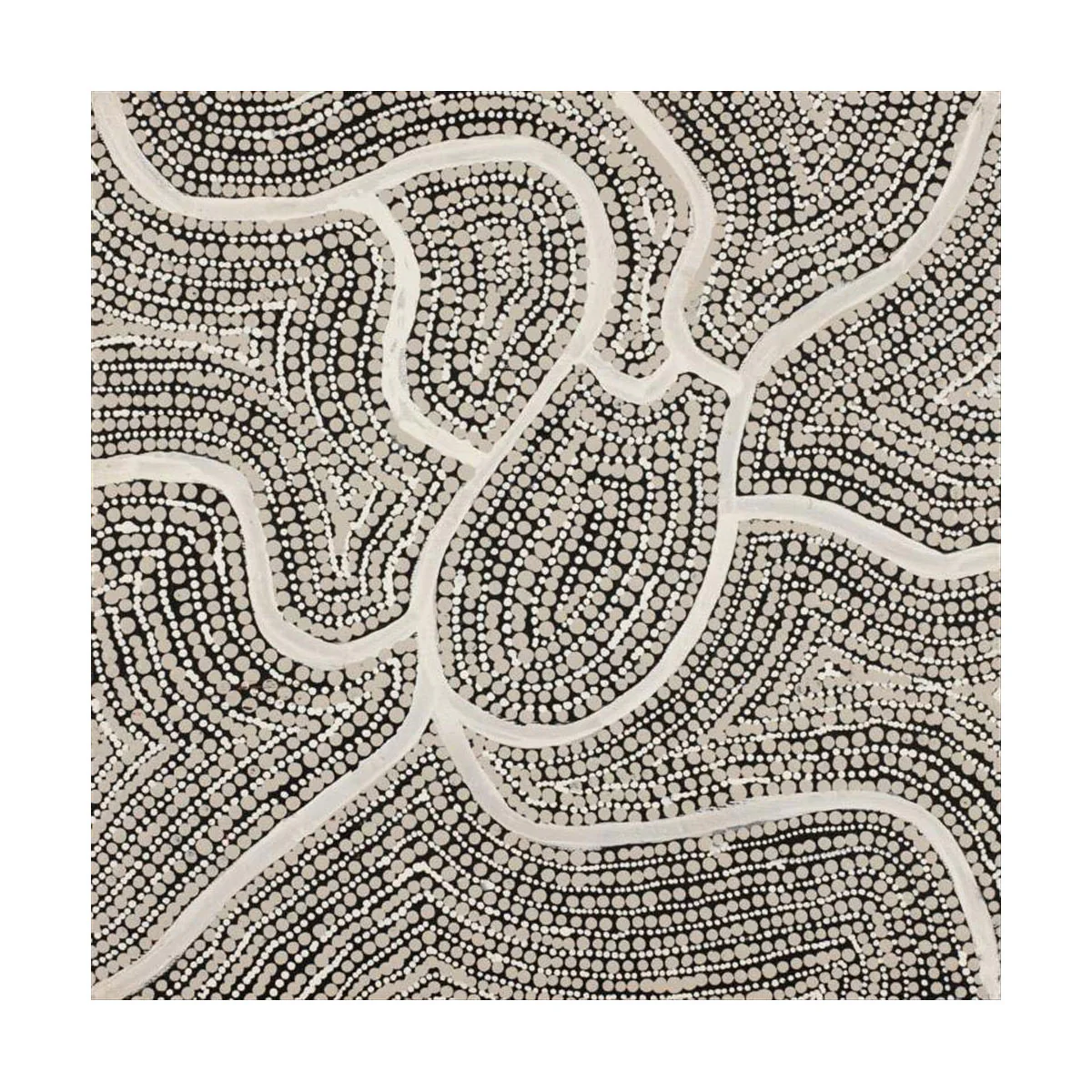 2158/25 Canvas Prestretched Watiyawarnu Jukurrpa (Seed Dreaming) 30x30cm Tanya Nungarrayi Collins - Warlukulangu Artists