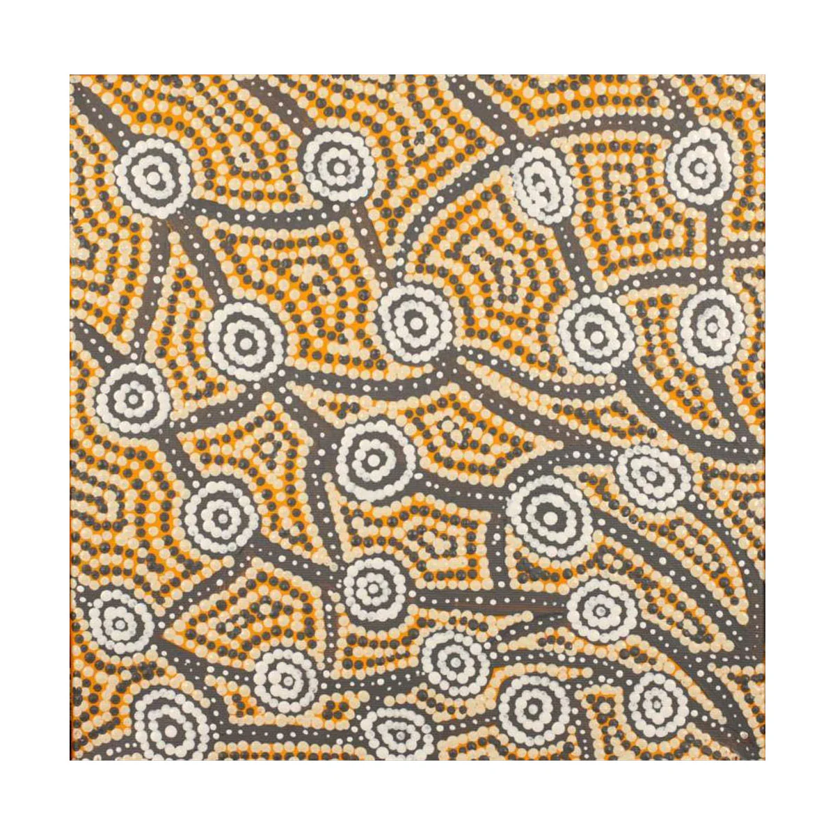 2996/25 Canvas Prestretched Wardapi Jukurrpa (Goanna Dreaming) 30x30cm Ingrid Napangardi Williams - Warlukulangu Artists