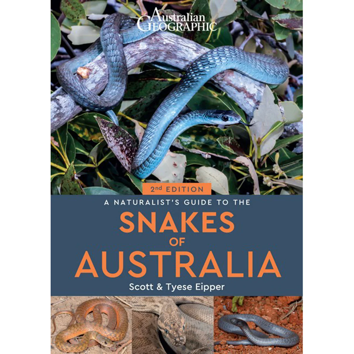 A Naturalist's Guide to the Snakes of Australia: 2nd Edition