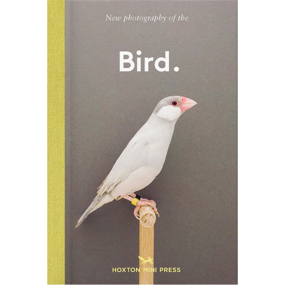 Bird: New photography of the Bird