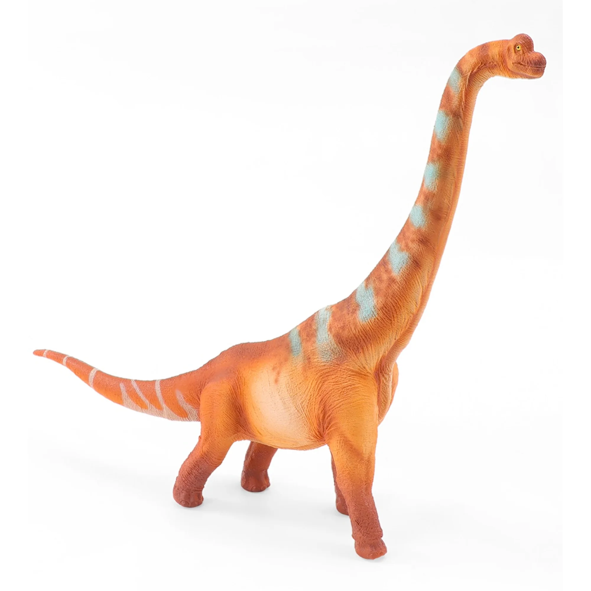 Brachiosaurus Replica Elmer - Science and Nature