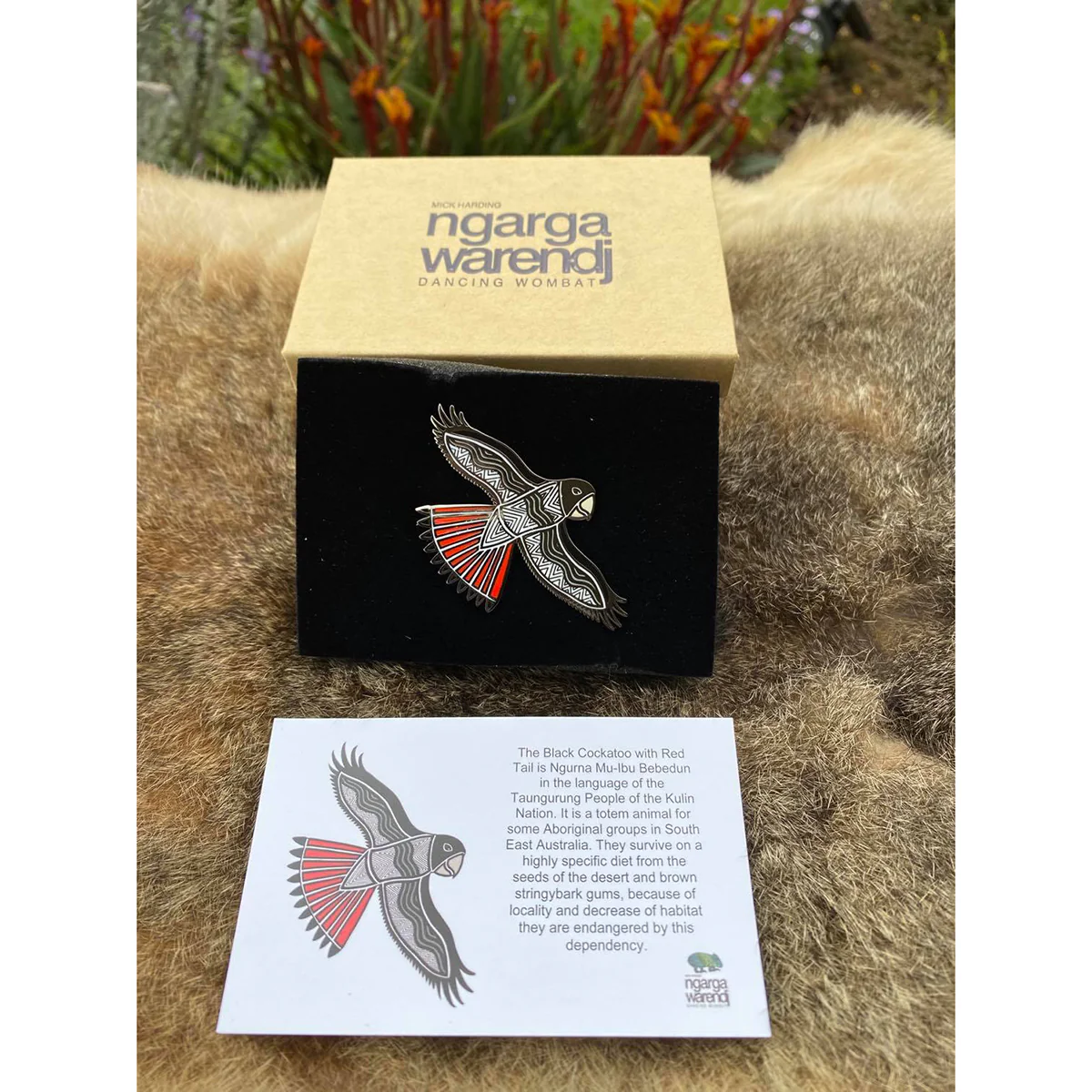 Brooch / Pin Red Tailed Black Cockatoo - Ngarga Warendj - Image 2