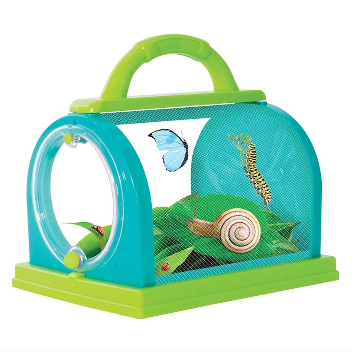 Bug Study Set - Discovery - Image 2