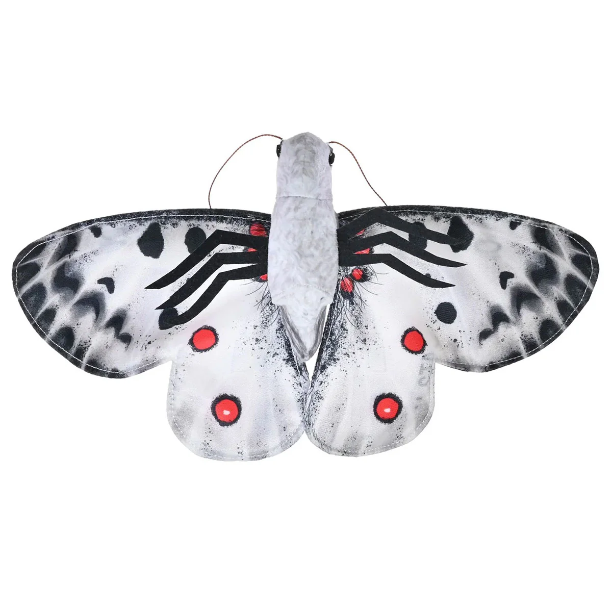 Butterfly Apollo - Wild Republic