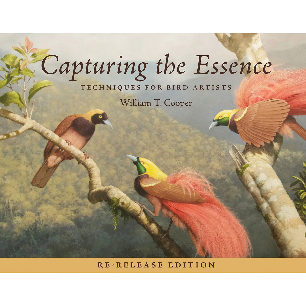 Capturing the Essence