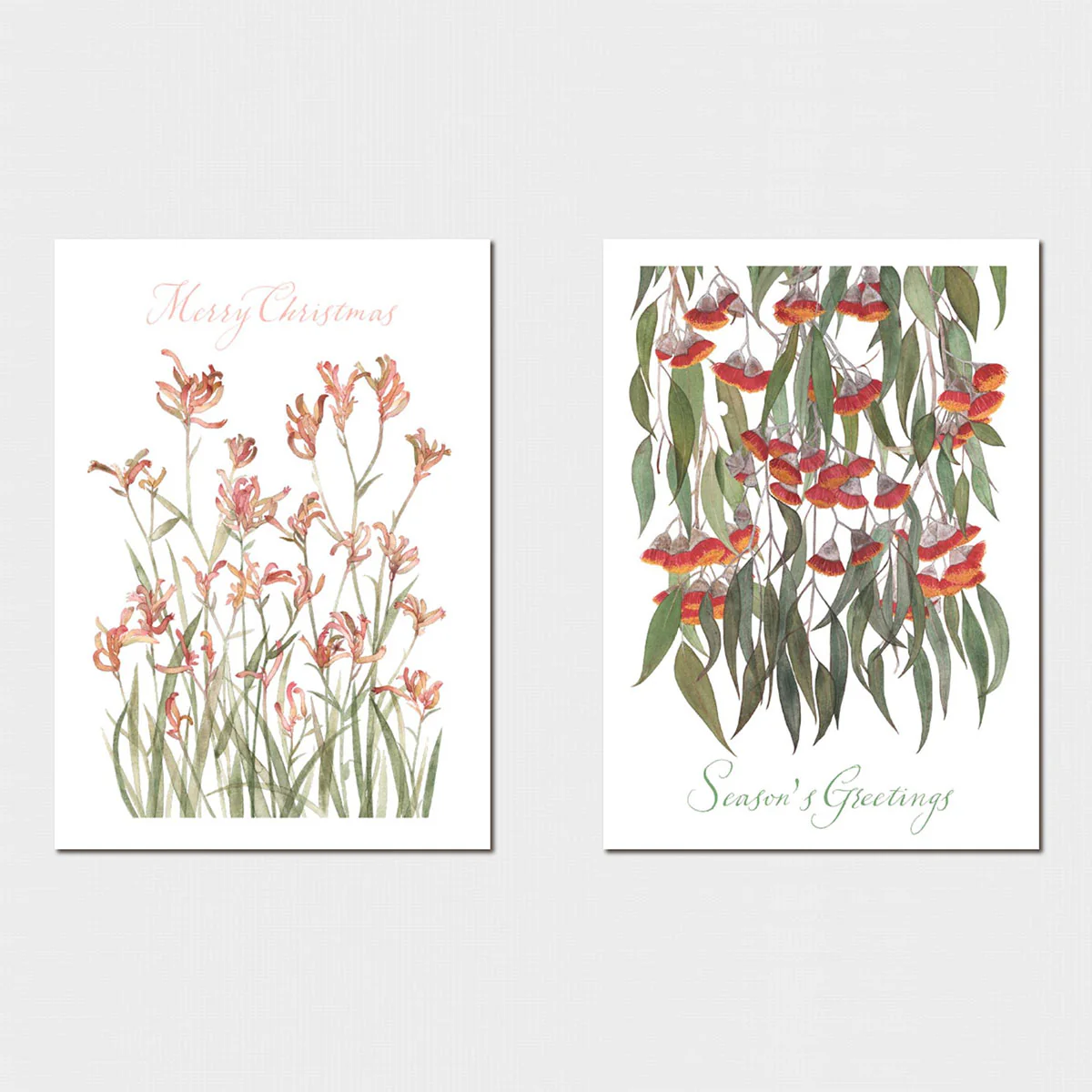 Christmas Card Pack Natalie Ryan Gum Blossom and Kangaroo Paw 2 Assorted - Blue Island Press - Image 2