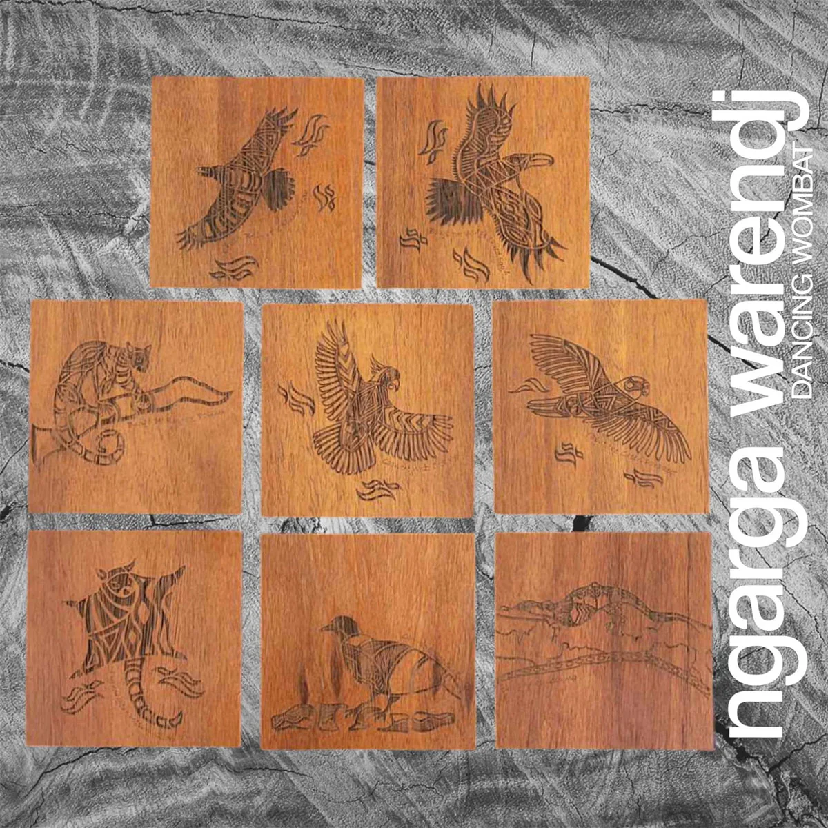 Coasters Jarrah Creator Series Square Set/8 - Ngarga Warenji