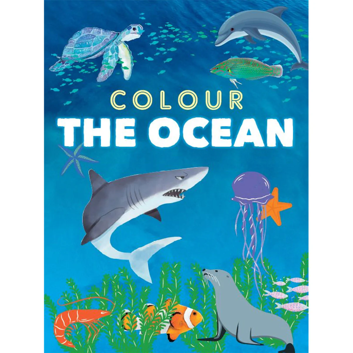 Colour The Ocean