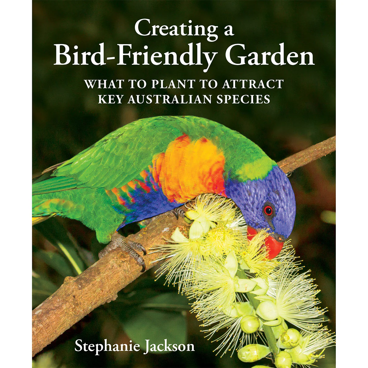 Creating a Bird Friendly Garden - Stephanie Jackson