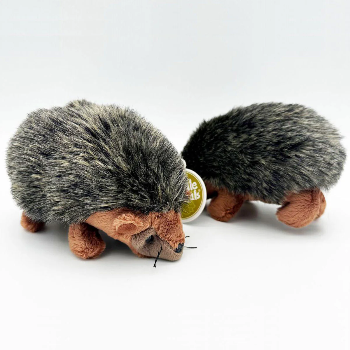Cuddle Pal Hedgehog 25cm - Jack in the Box