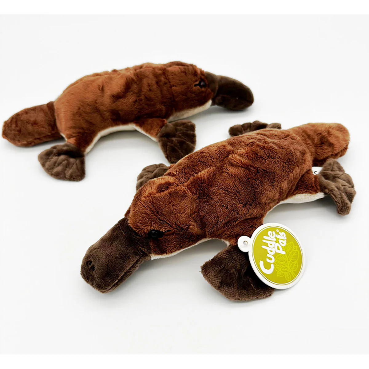 Cuddle Pal Platypus 27.5cm - Jack in the Box