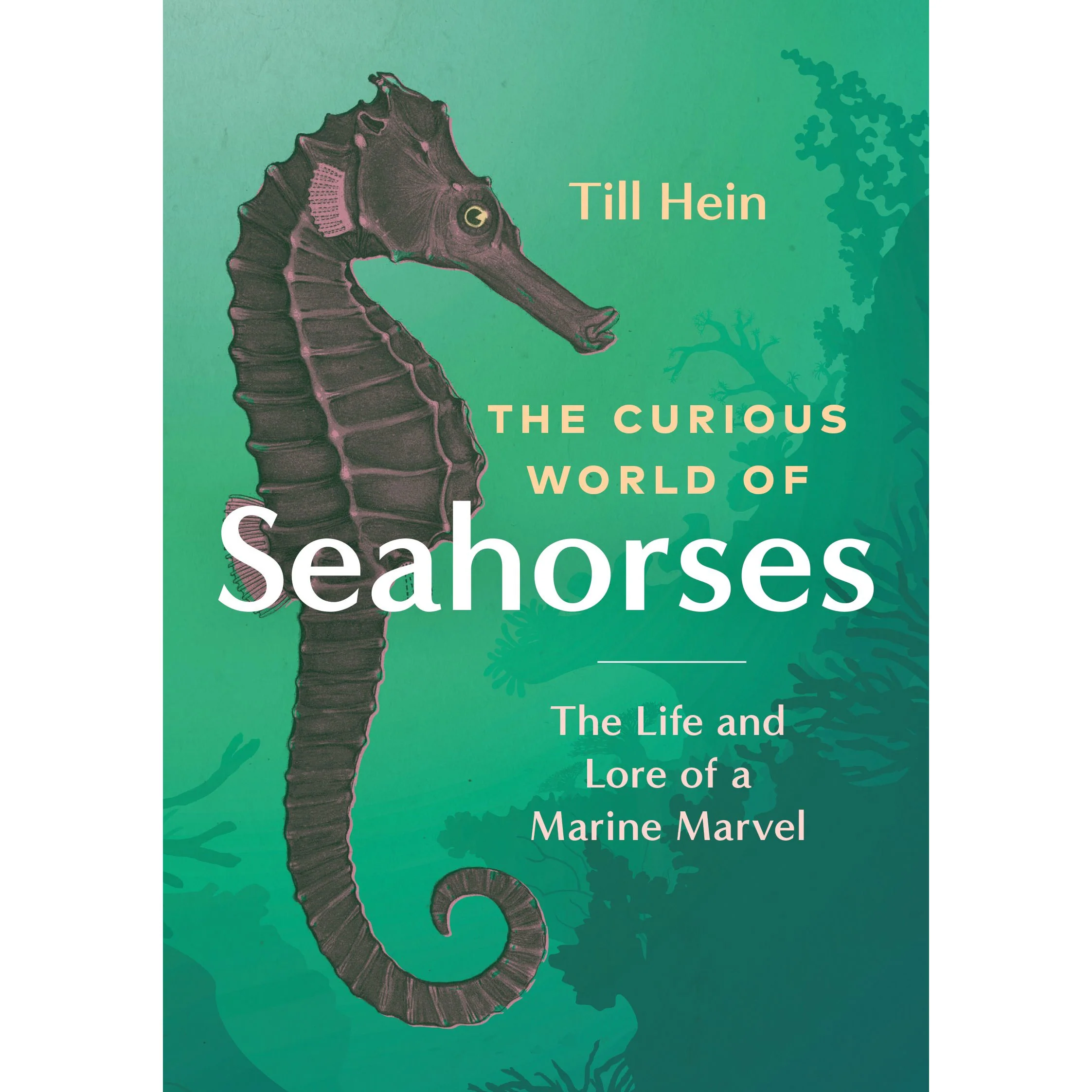 Curious World of Seahorses - Alliance Distribution Services