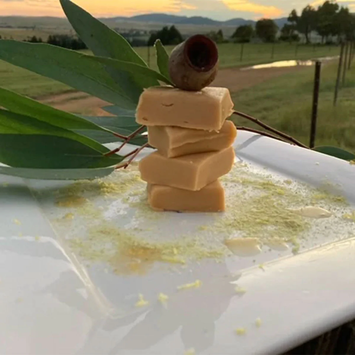 Desert Lime & Myrtle 180g - Outback Fudge
