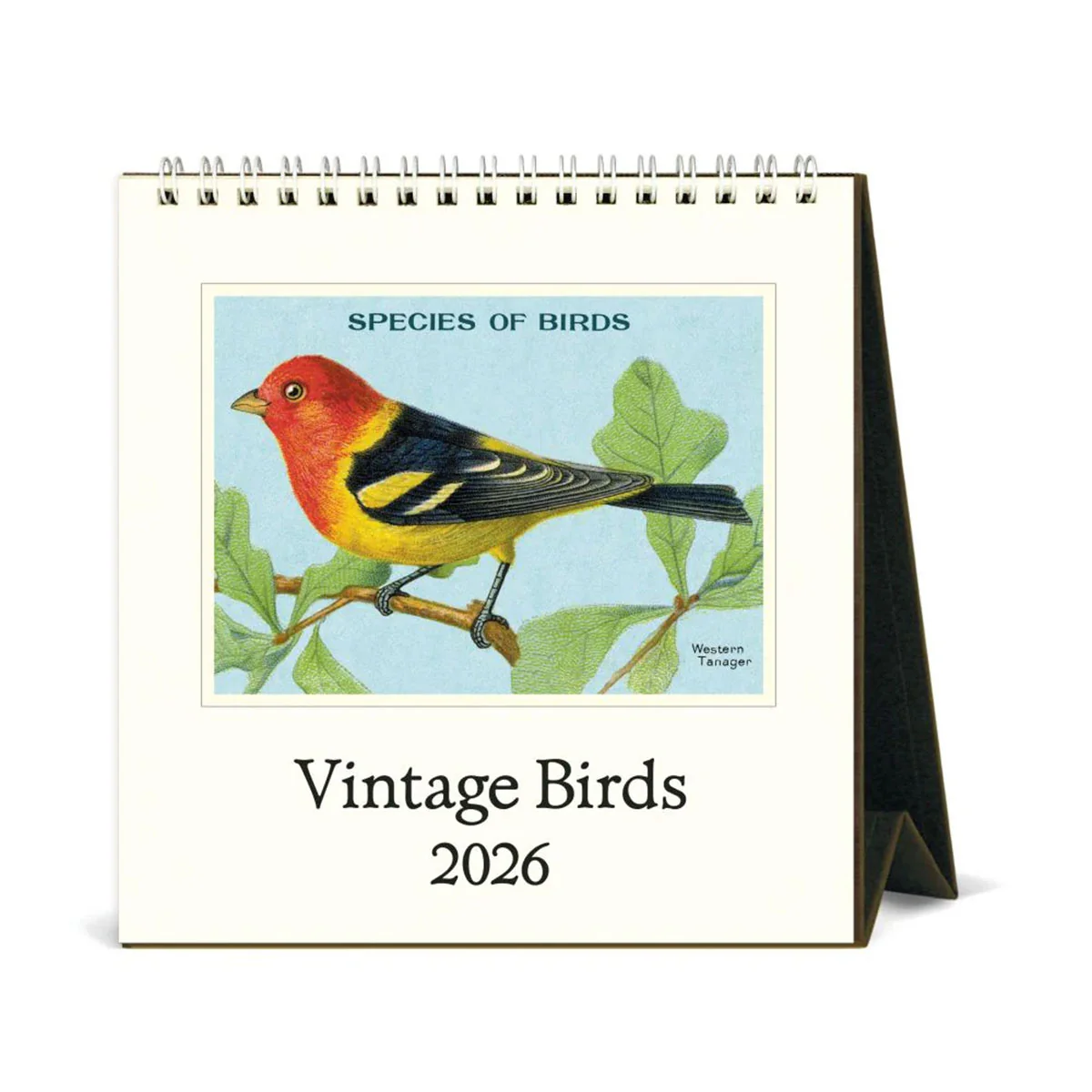 Desk Calendar Birds 2026 - Bobangles