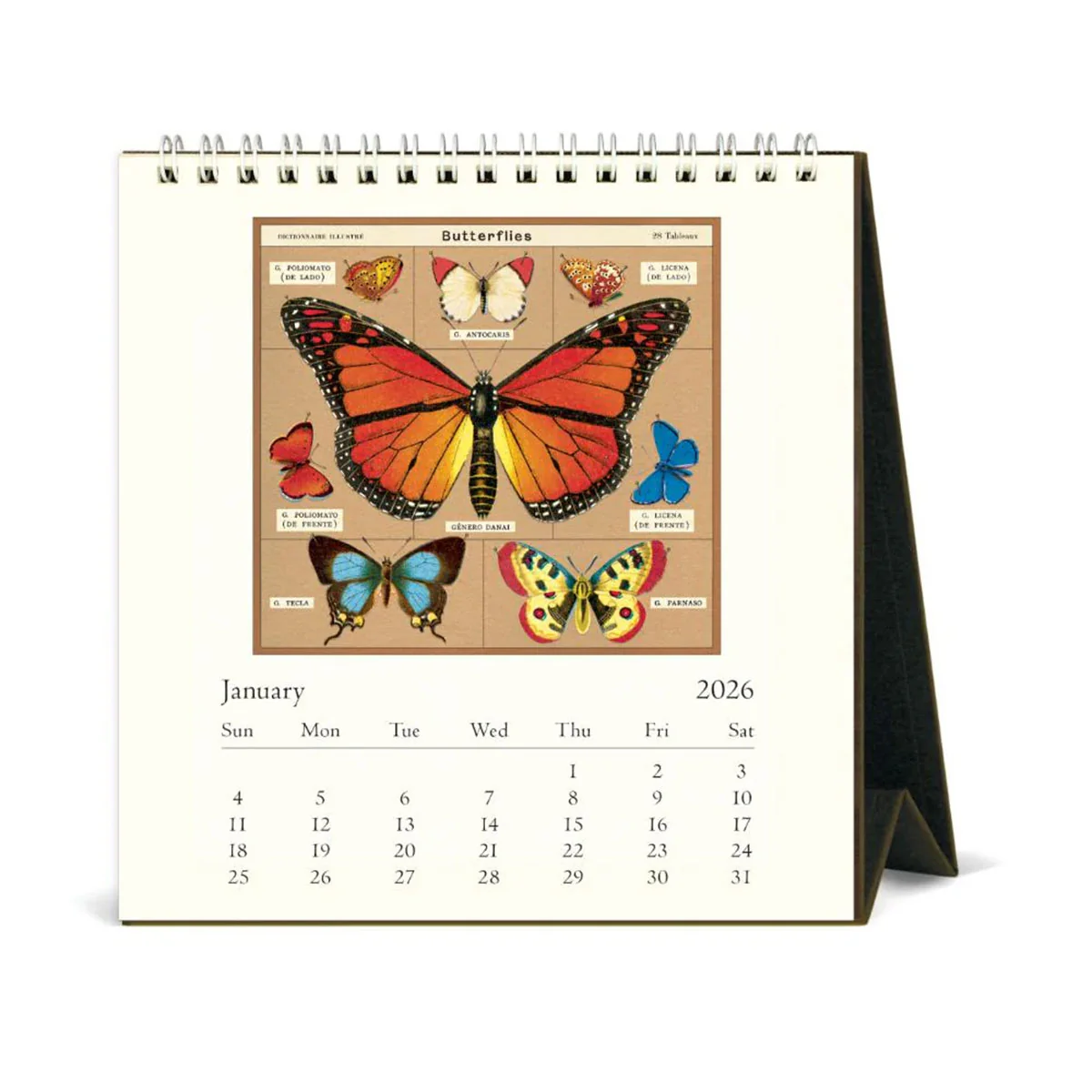 Desk Calendar Butterflies 2026 - Bobangles - Image 2