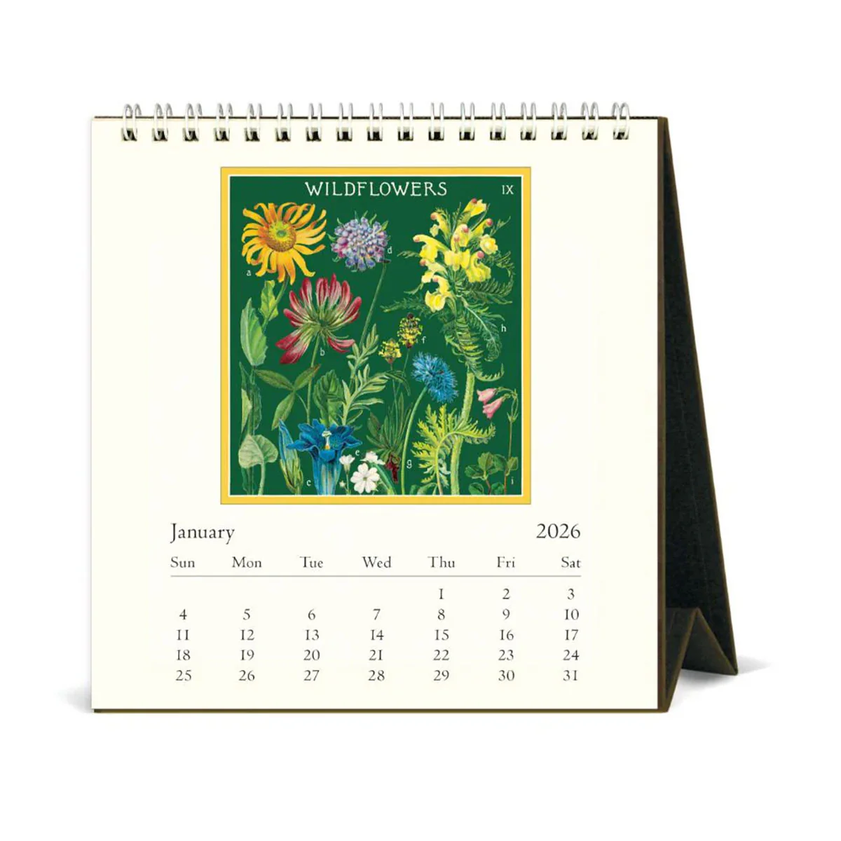 Desk Calendar Wildflowers 2026 - Bobangles - Image 2