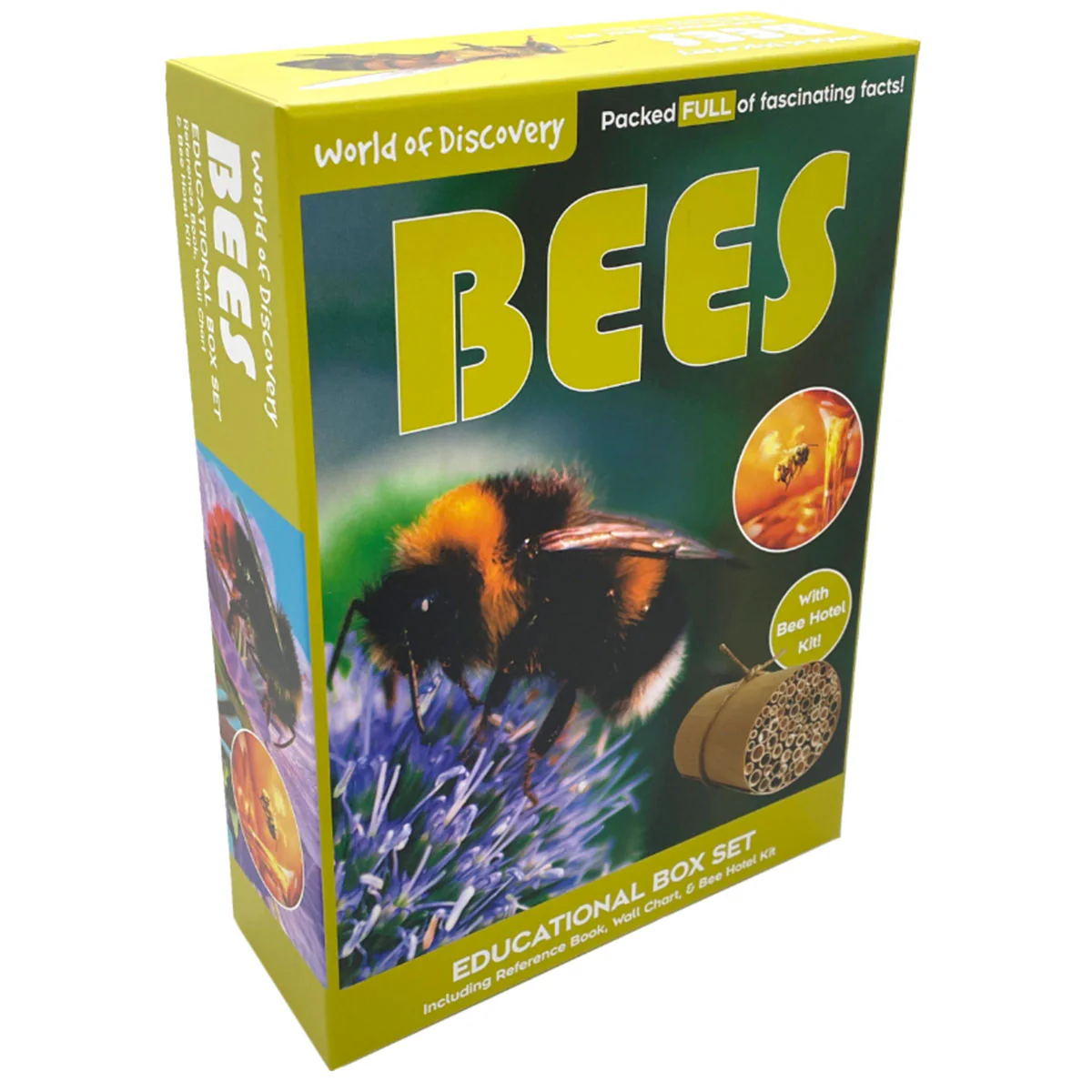 Discover Bees Box Set - Science and Nature