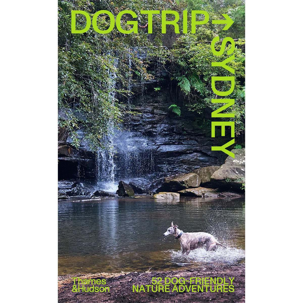 Dog Trip Sydney 52 dog-friendly nature adventures