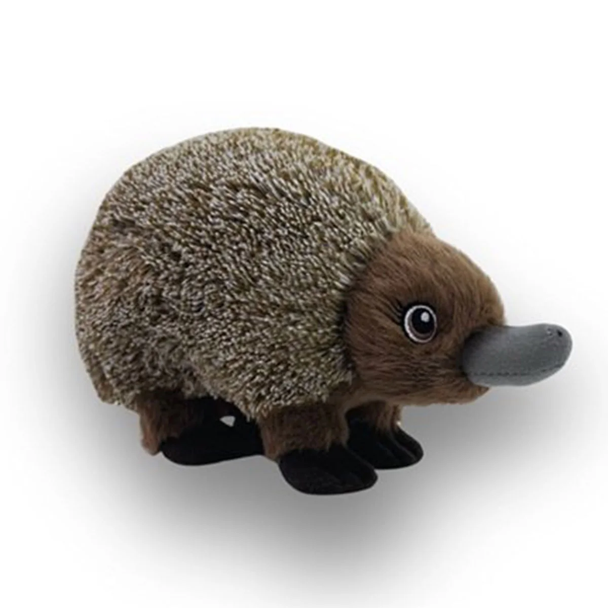 Echidna Bub Eco - C A Australia Pty Ltd