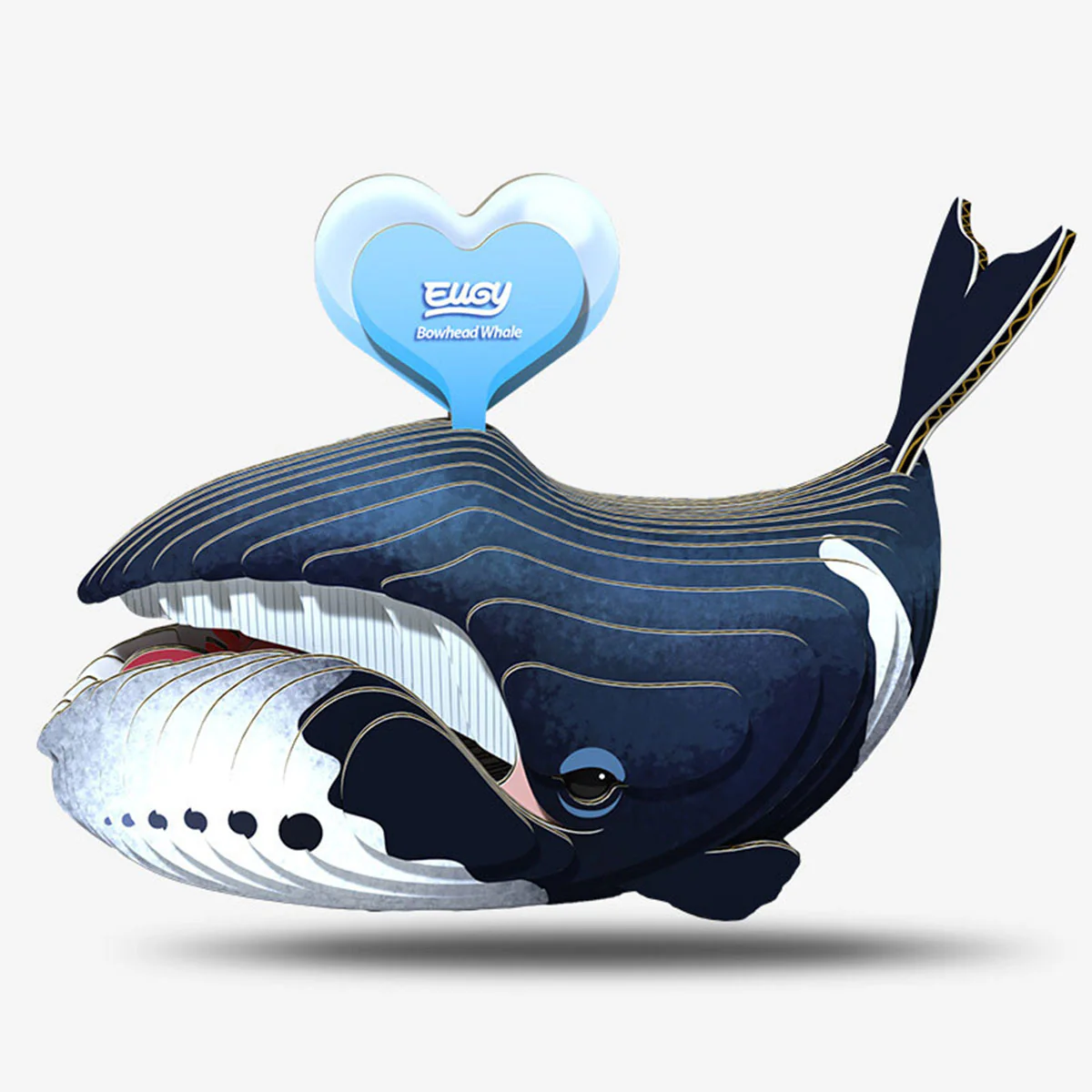 EUGY Bowhead Whale