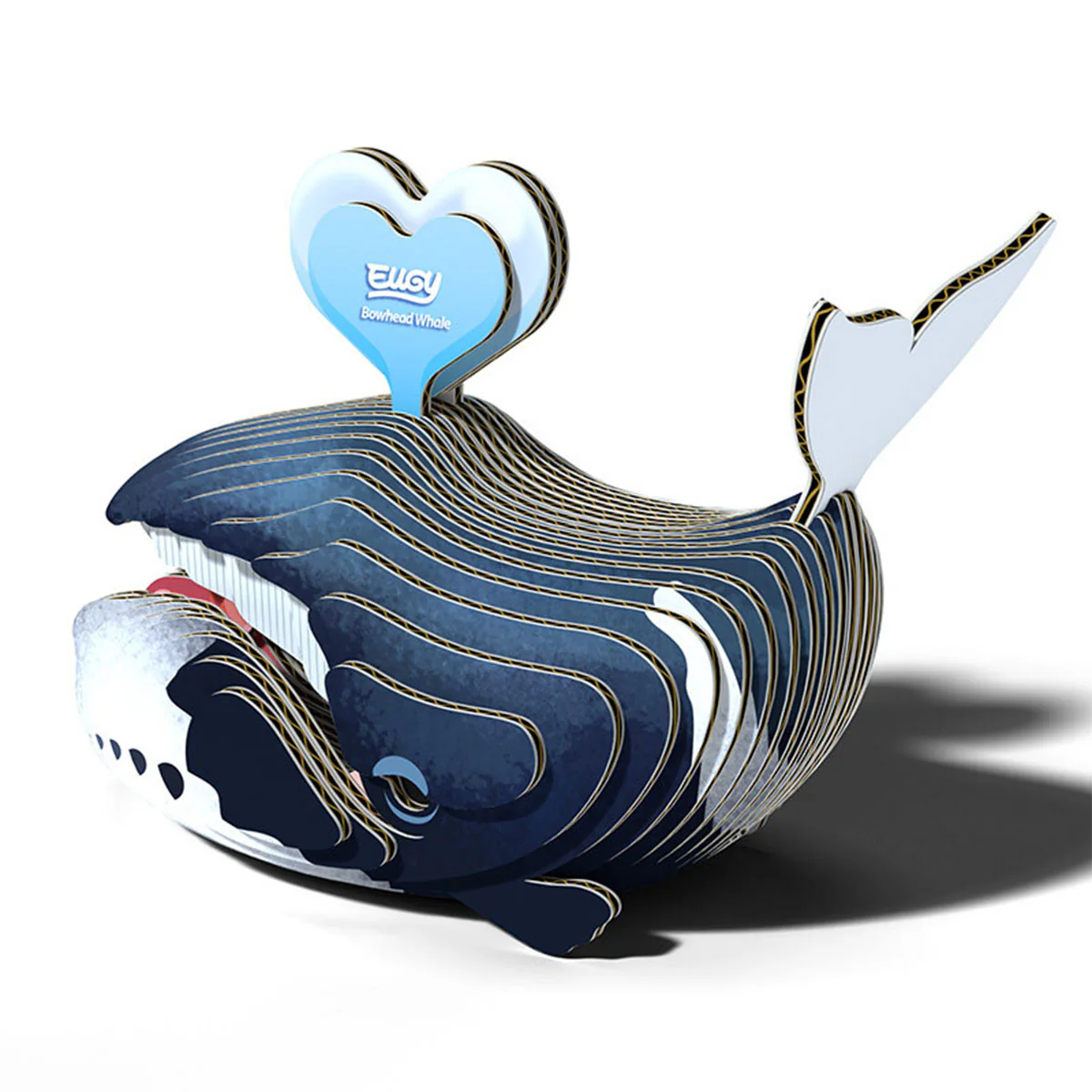 EUGY Bowhead Whale - Image 2