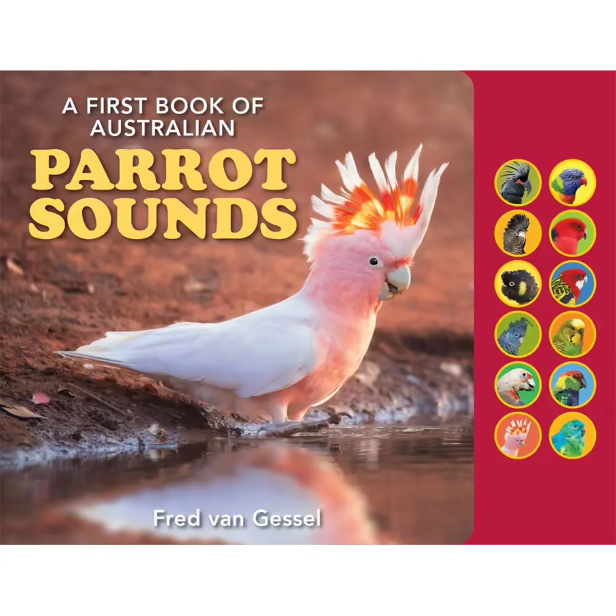 First book of Austrlian Parrot Sounds