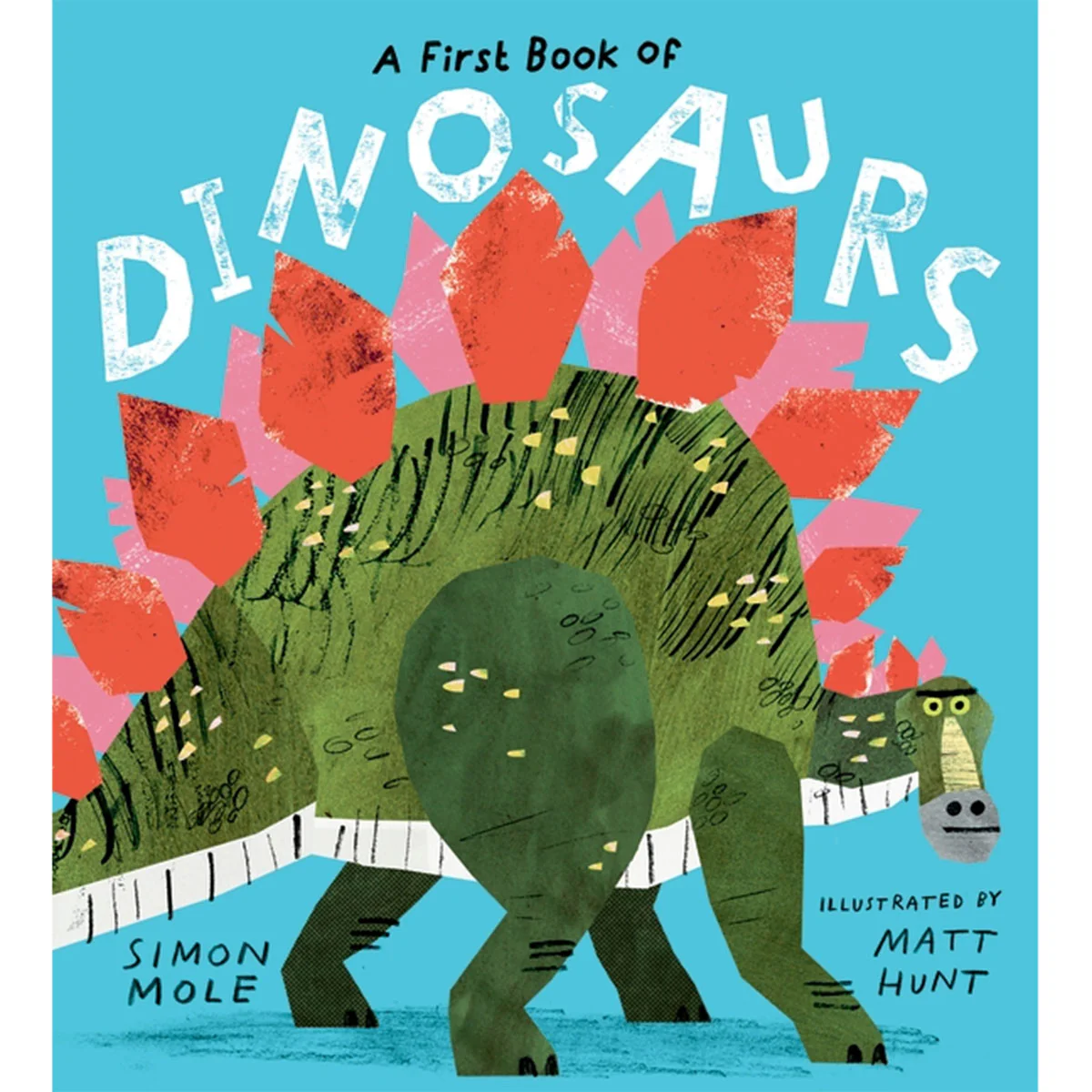 First Book Of Dinosaurs