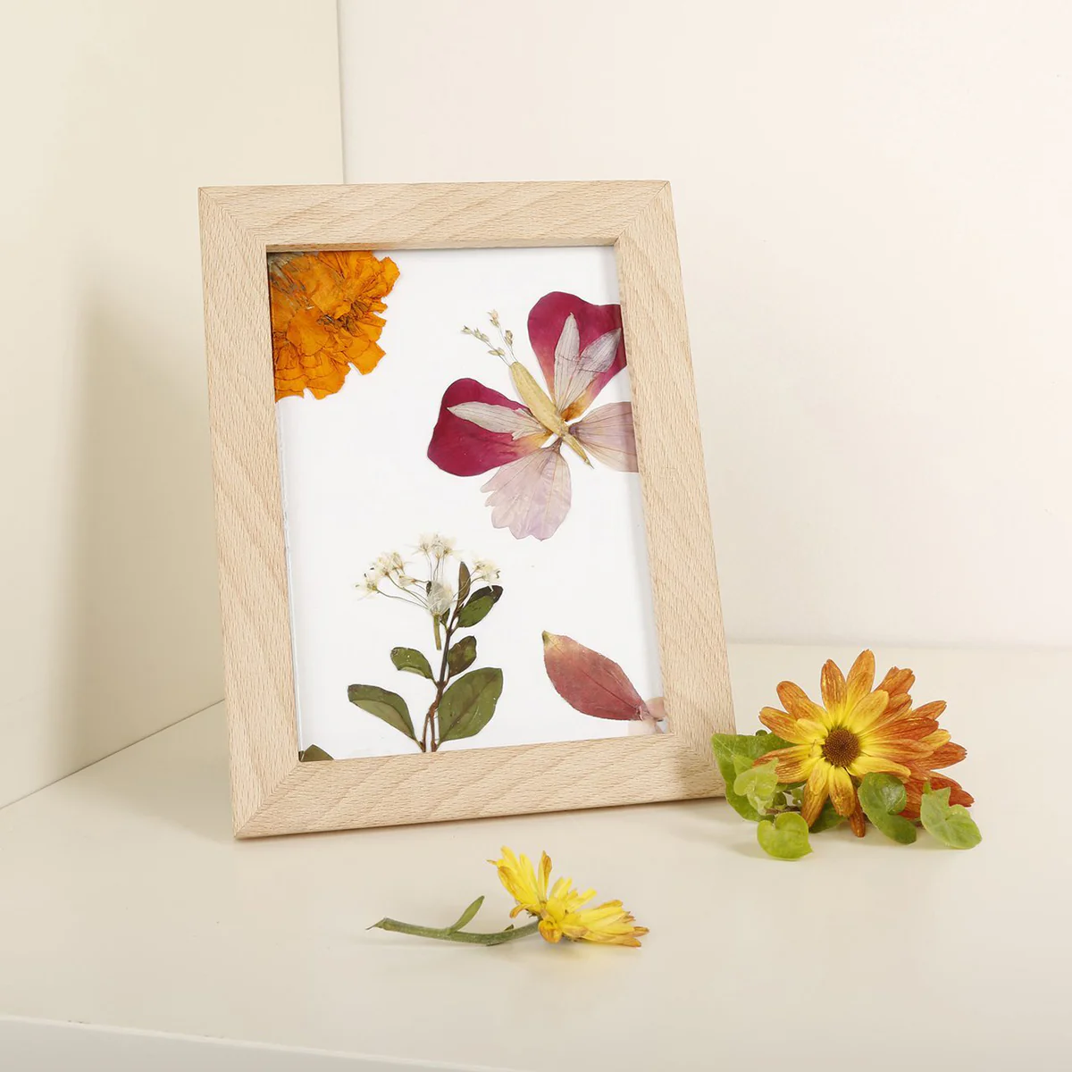 Flower Press Frame - Isalbi - Kikkerland Great Outdoors - Image 3