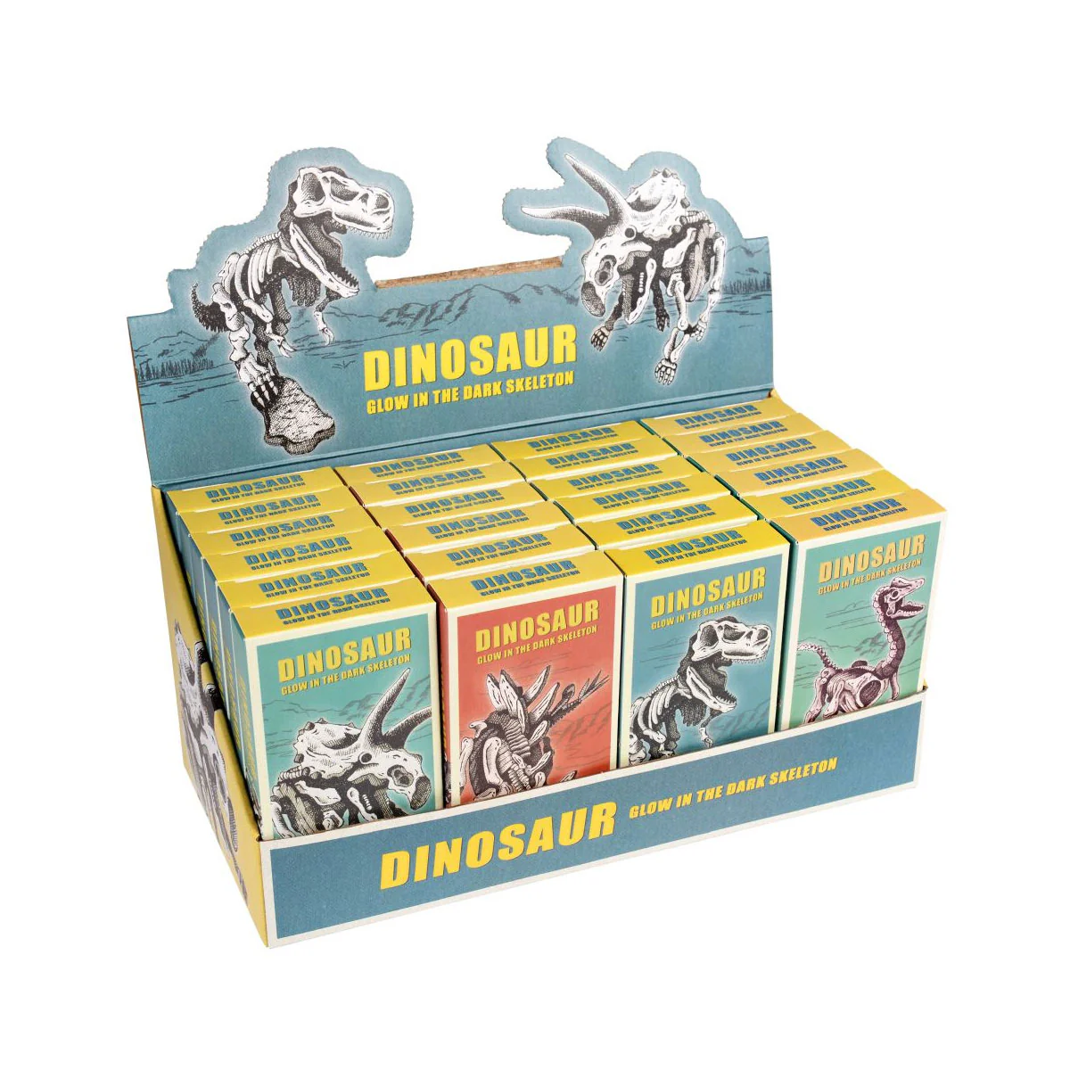 Glow in The Dark Dino Skeleton Kit - Bobangles