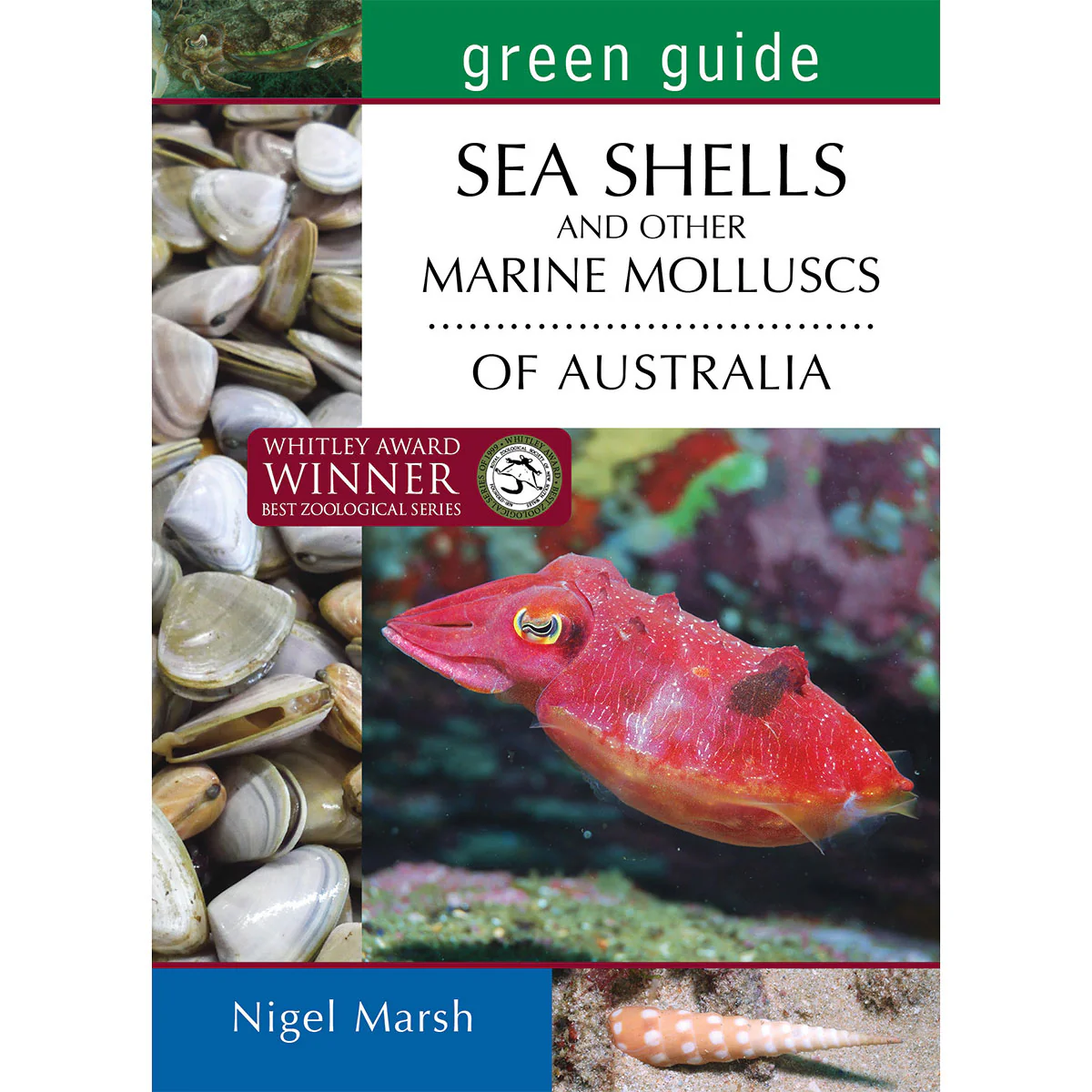 Green Guide: Seashells and Other Marine Molluscs of Australia