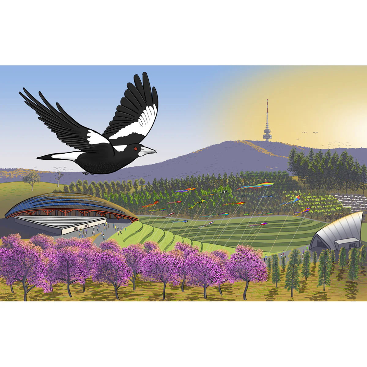 Greeting Card Australian Magpie at the Aboretum - Stuart McMillen