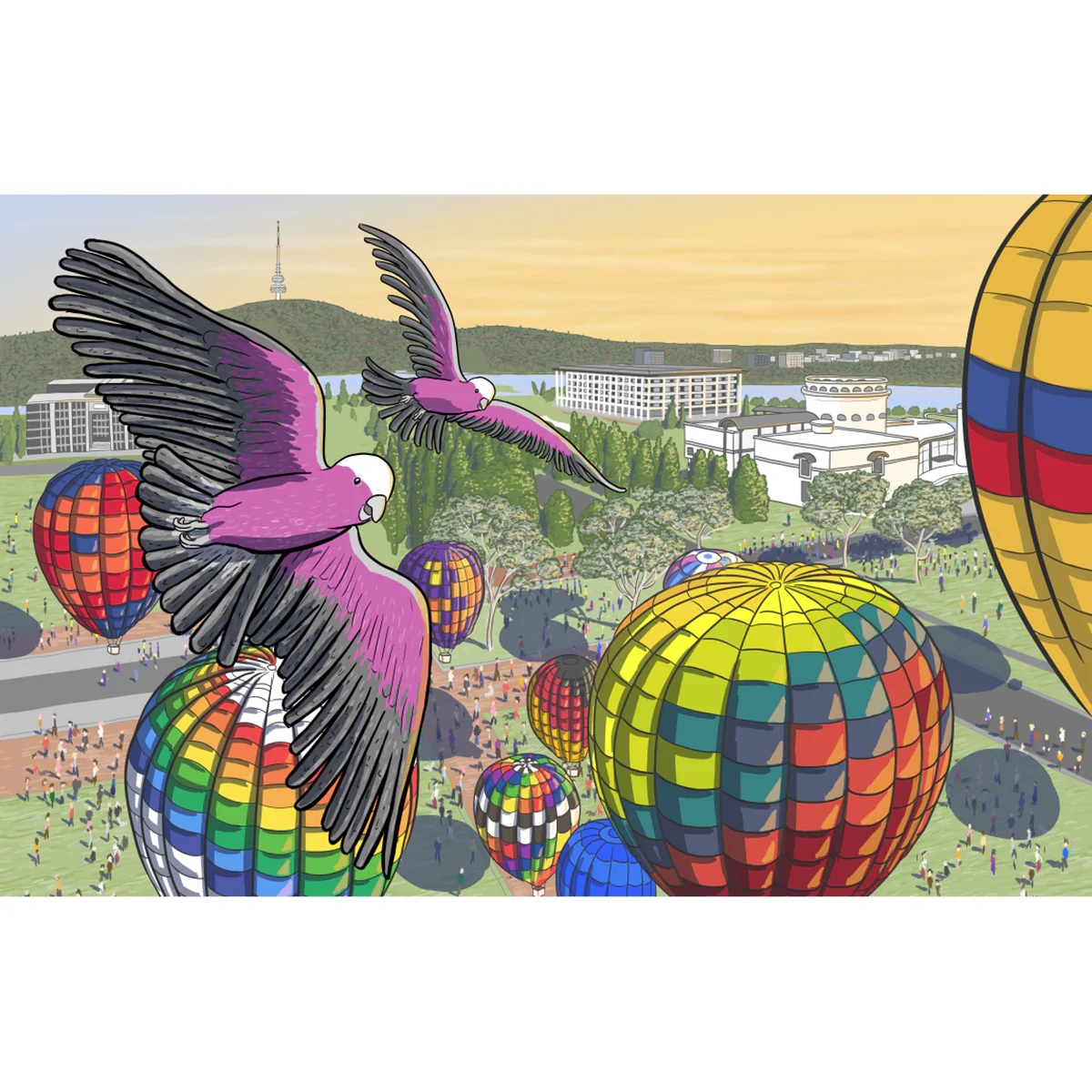 Greeting Card Galahs at Balloon Spectacular - Stuart McMillen