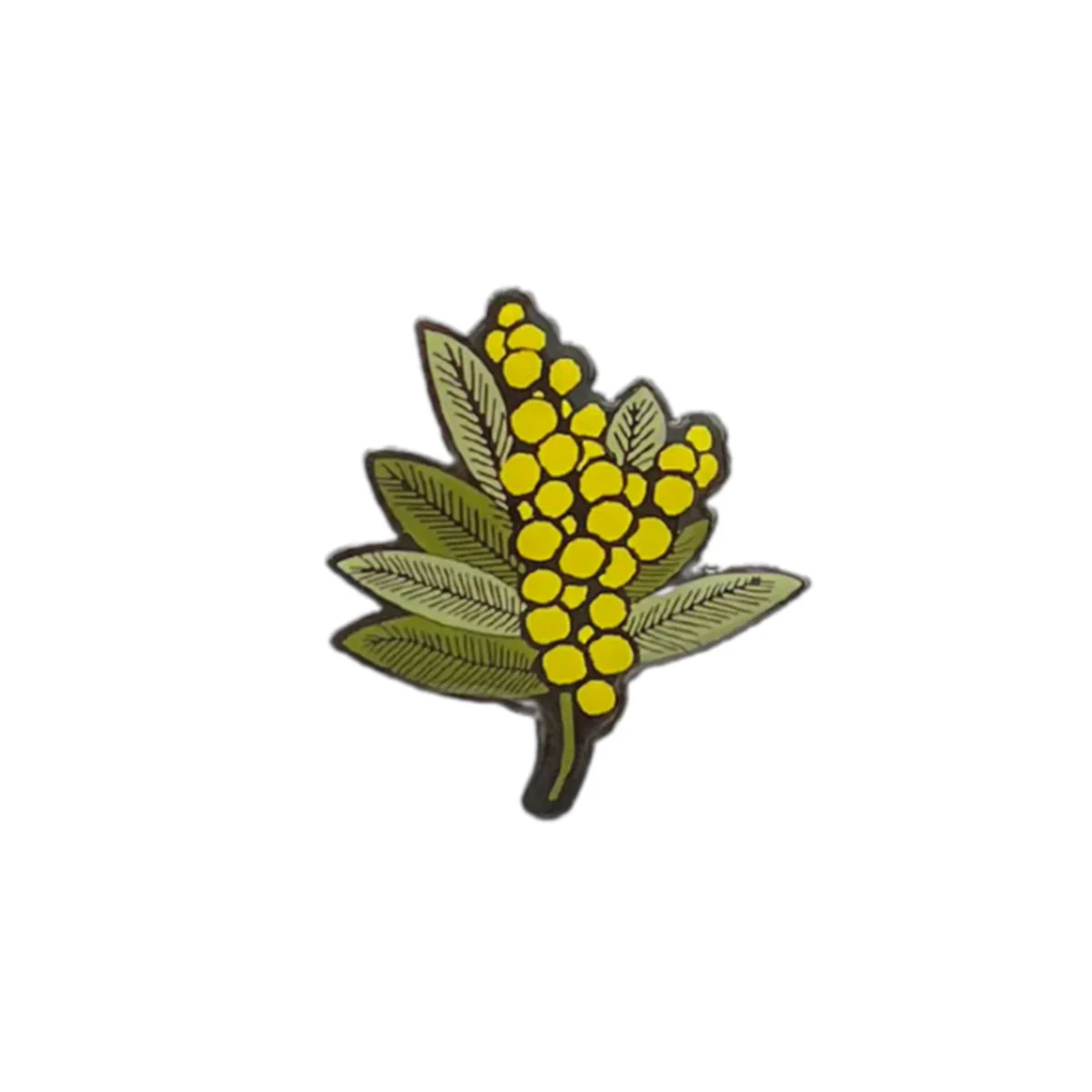 Hat Badge Wattle - Wilmot Harvey