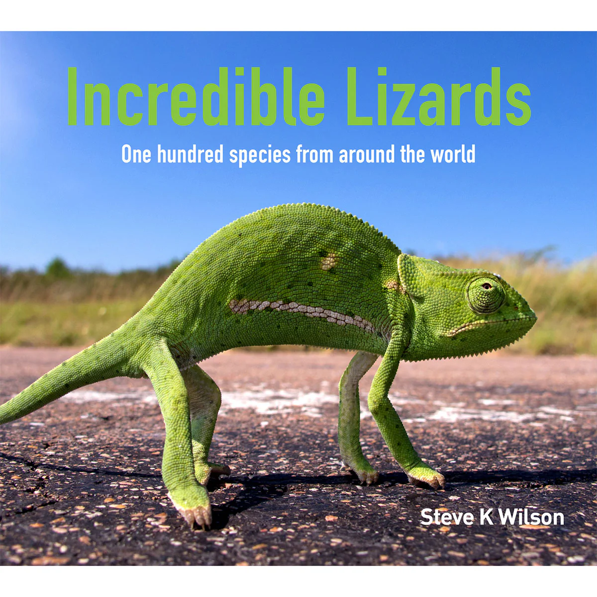 Incredible Lizards- New Holland Publishing