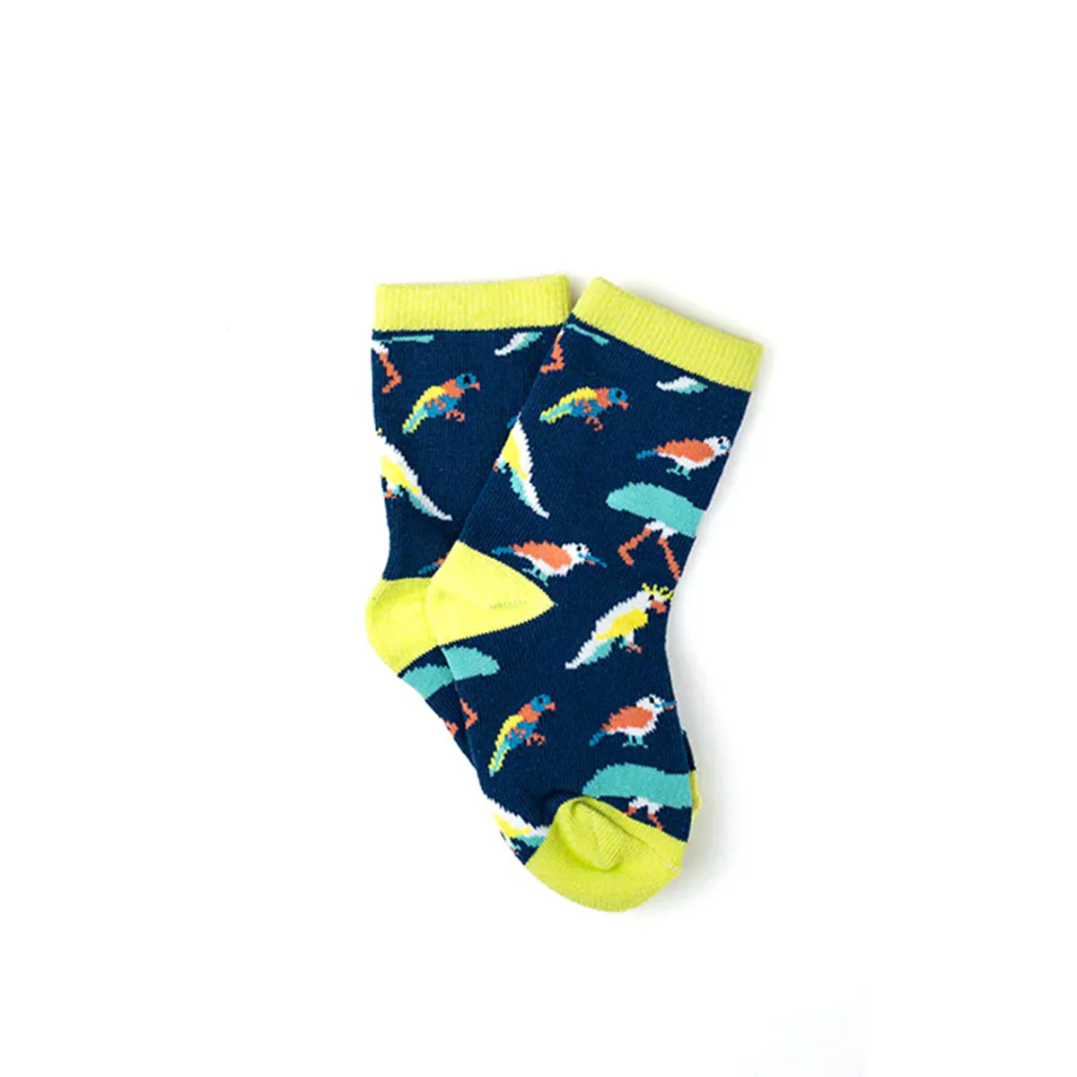 Kids Socks Australian Native Birds 5-7Y - Capital Socks