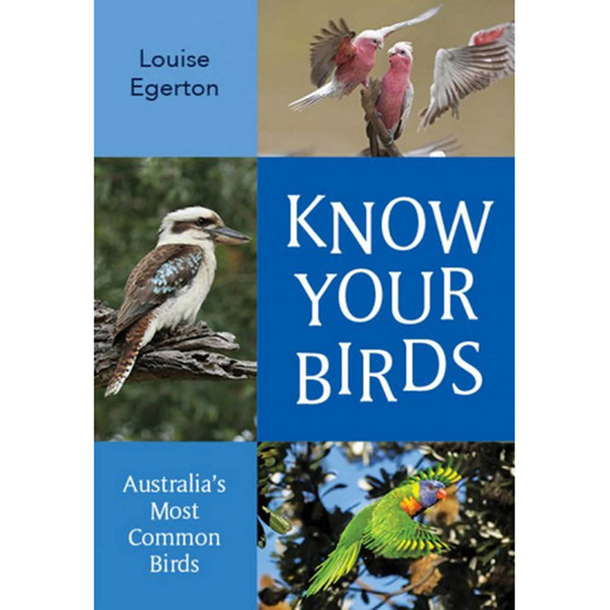 Know Your Birds: Australia's Most Common Birds