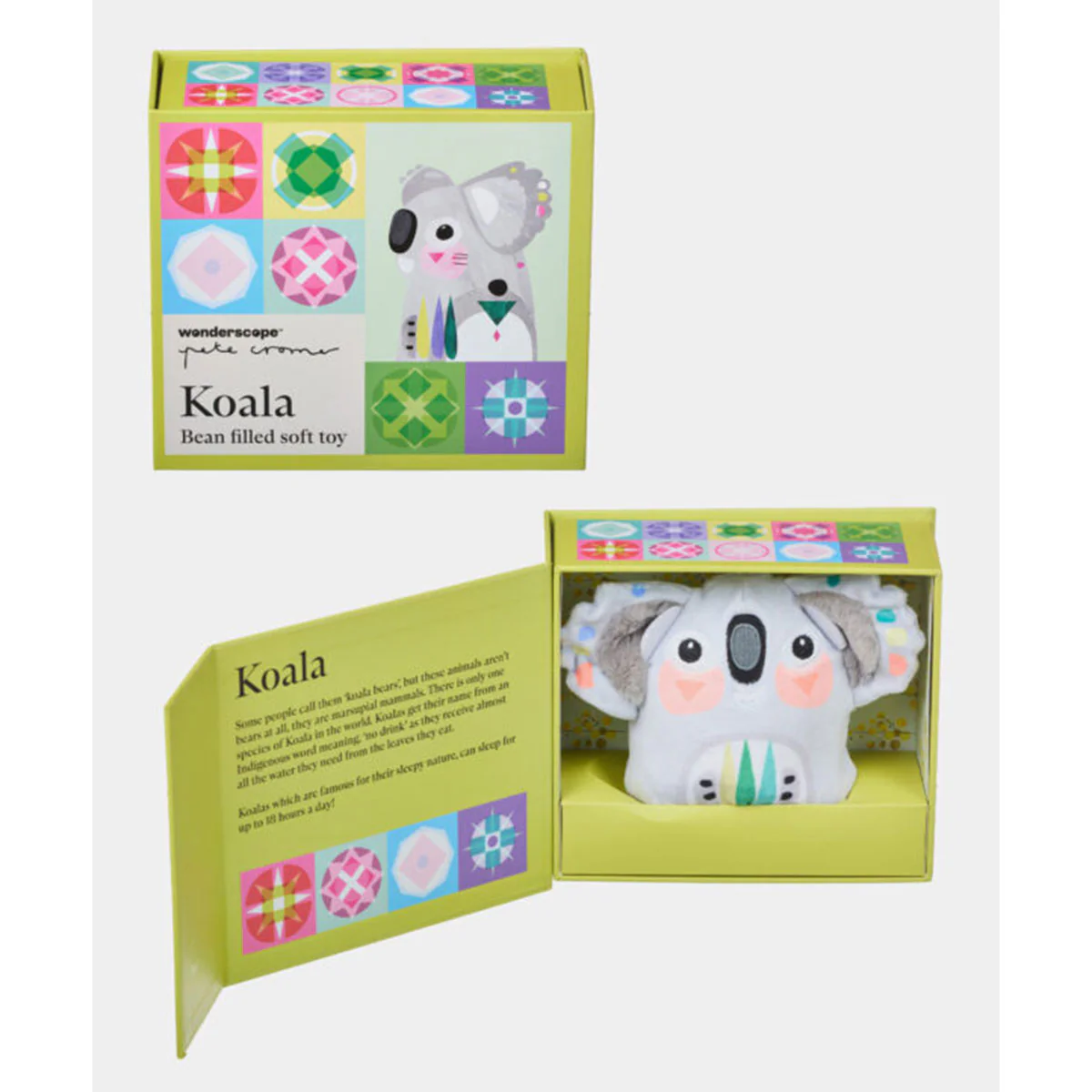 Koala Soft Toy in Box Pete Cromer - Wonderscope - Image 2