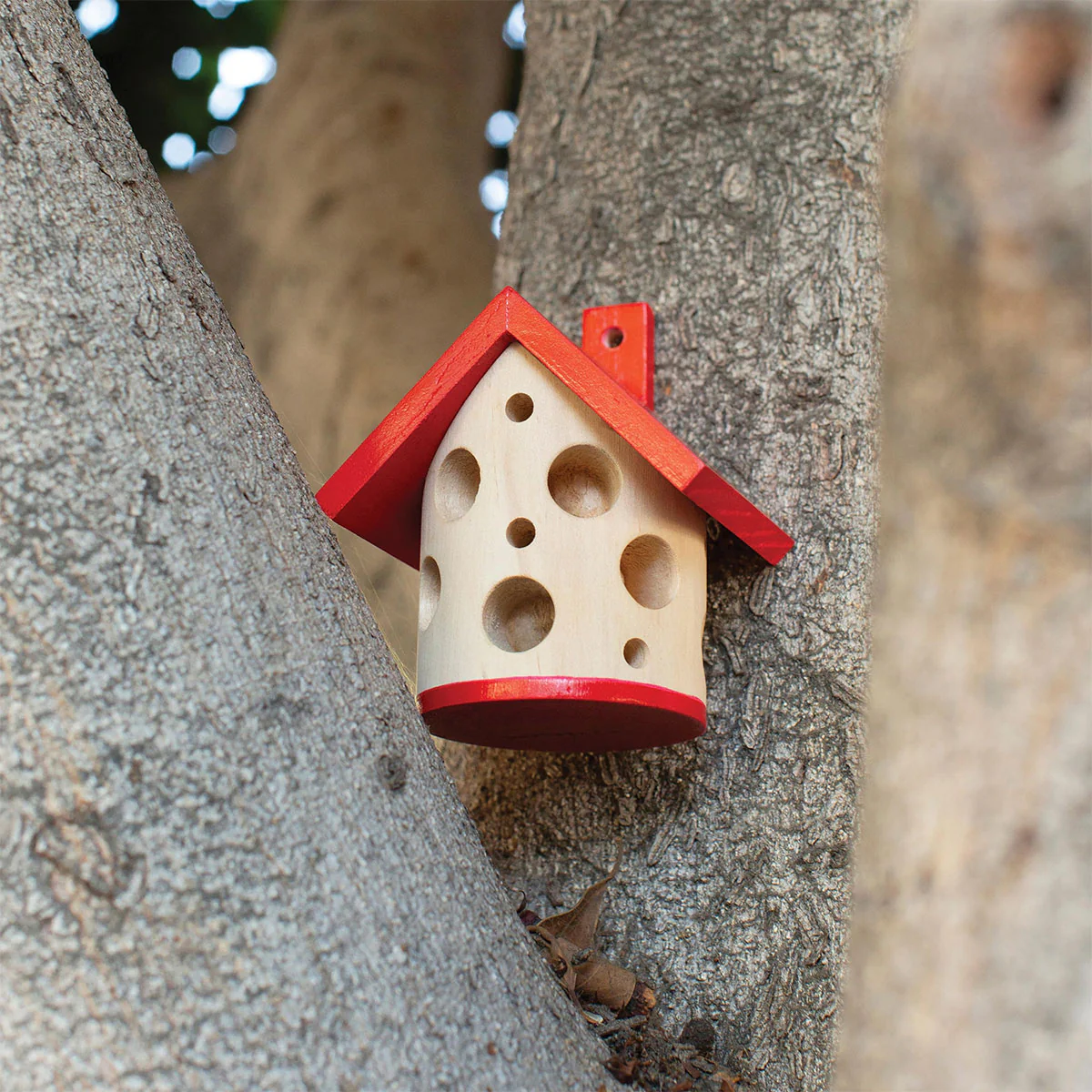 Lady Bug House - Isalbi - Image 2