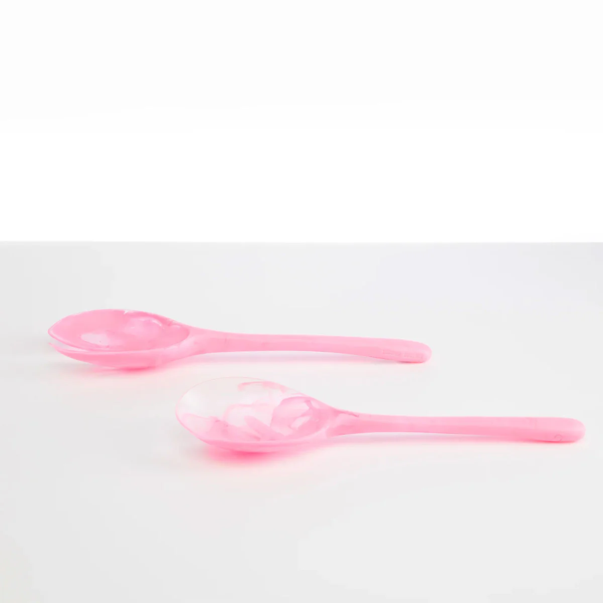 Long Stone Servers Parakeet - Dinosaur Designs