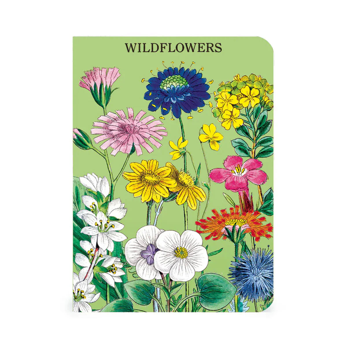 Mini Notebook 3 Set Wildflowers 2 - Bobangles - Image 2