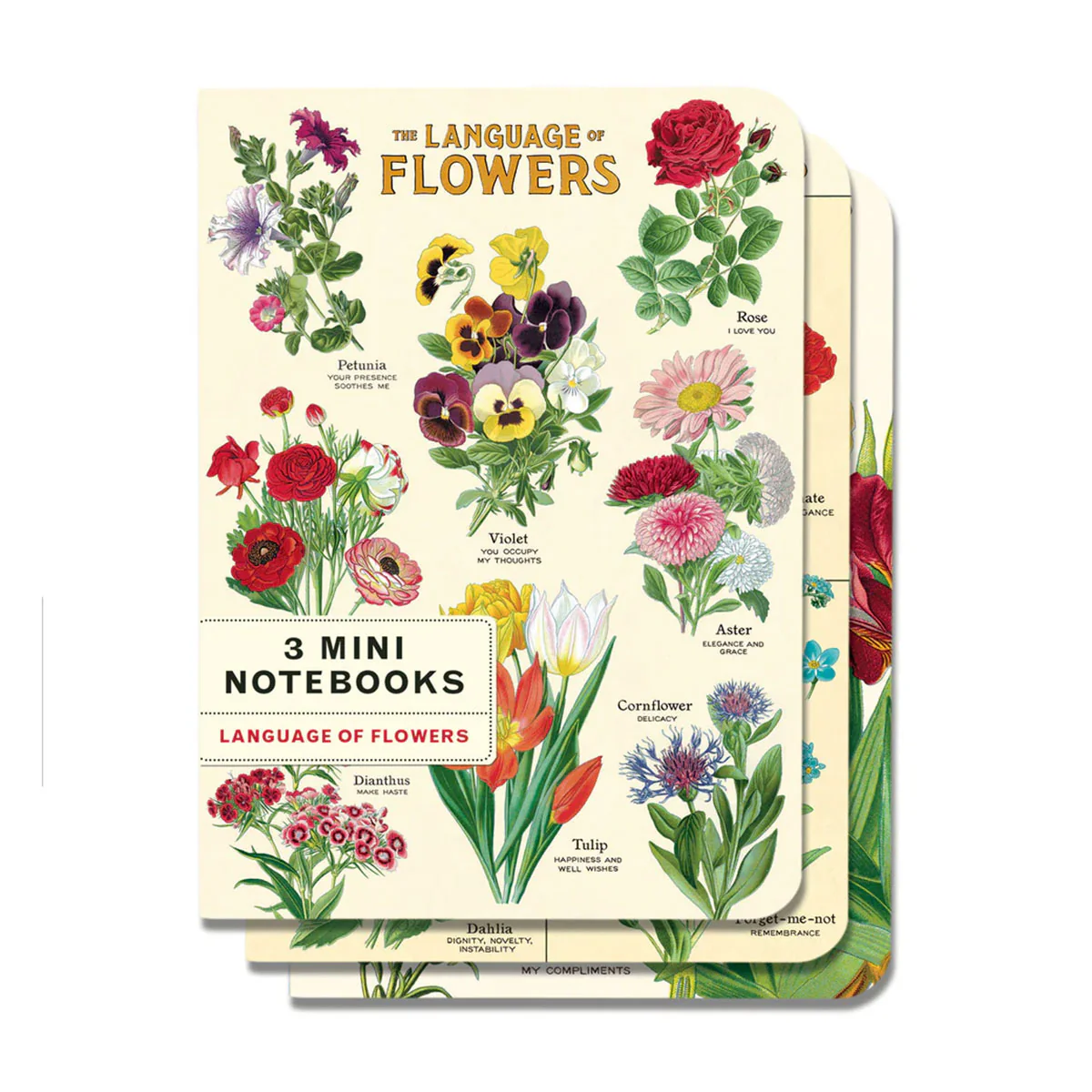 Mini Notebook Language of Flowers 3 Set - Bobangles
