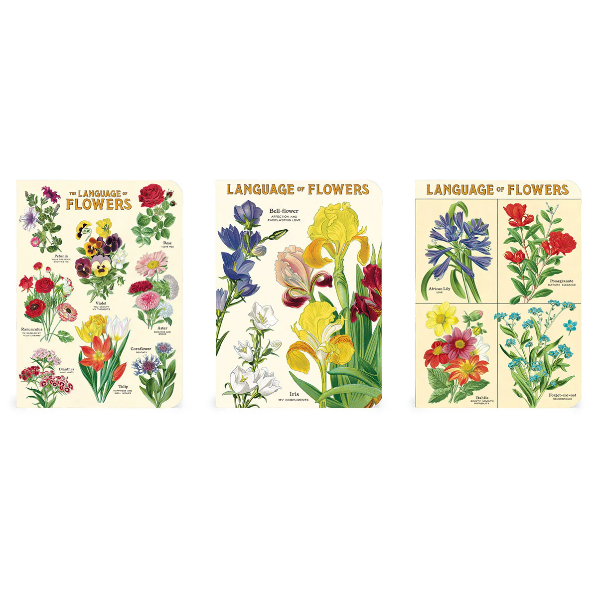 Mini Notebook Language of Flowers 3 Set - Bobangles - Image 2