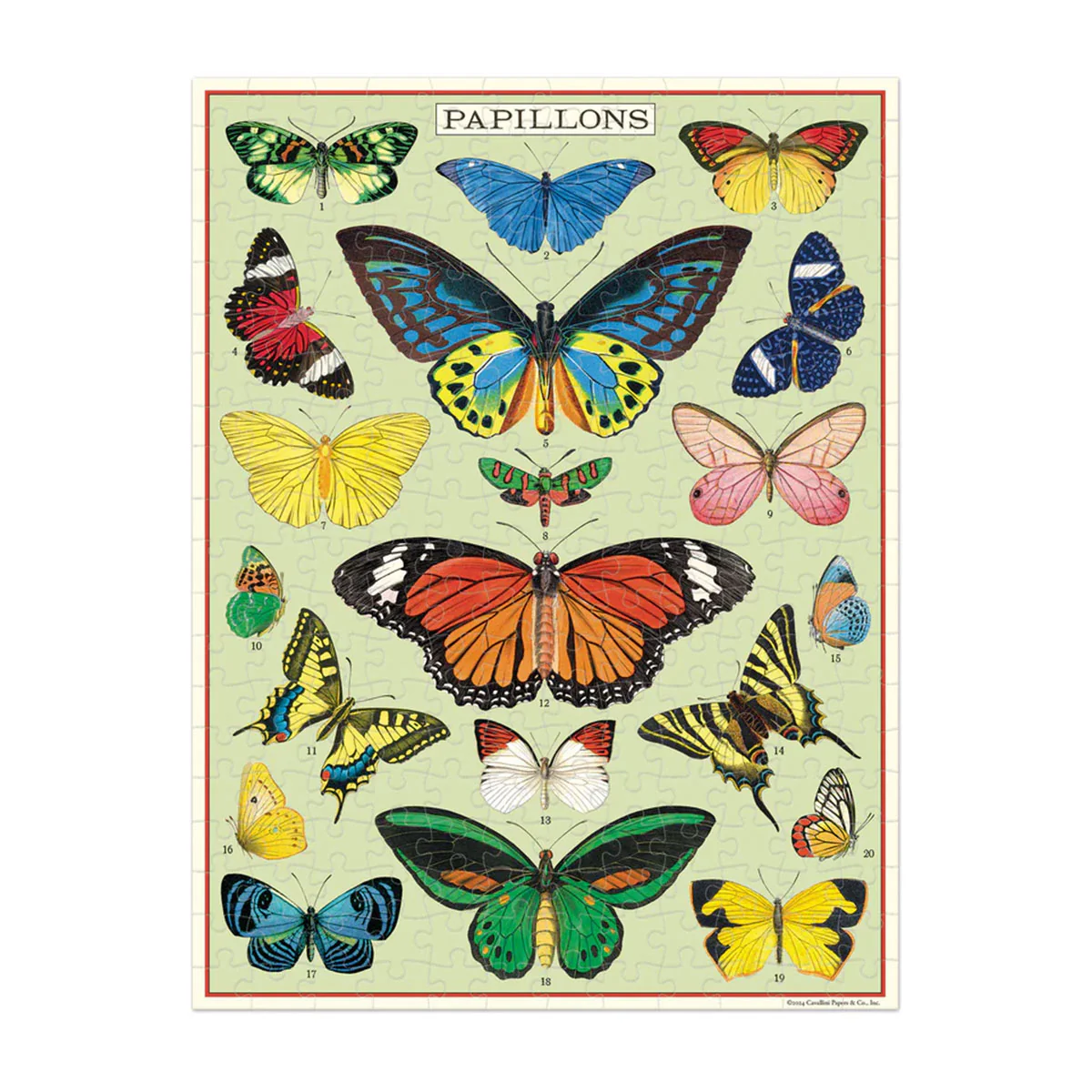 Mini Puzzle Butterflies 240pc - Cavallini - Image 2