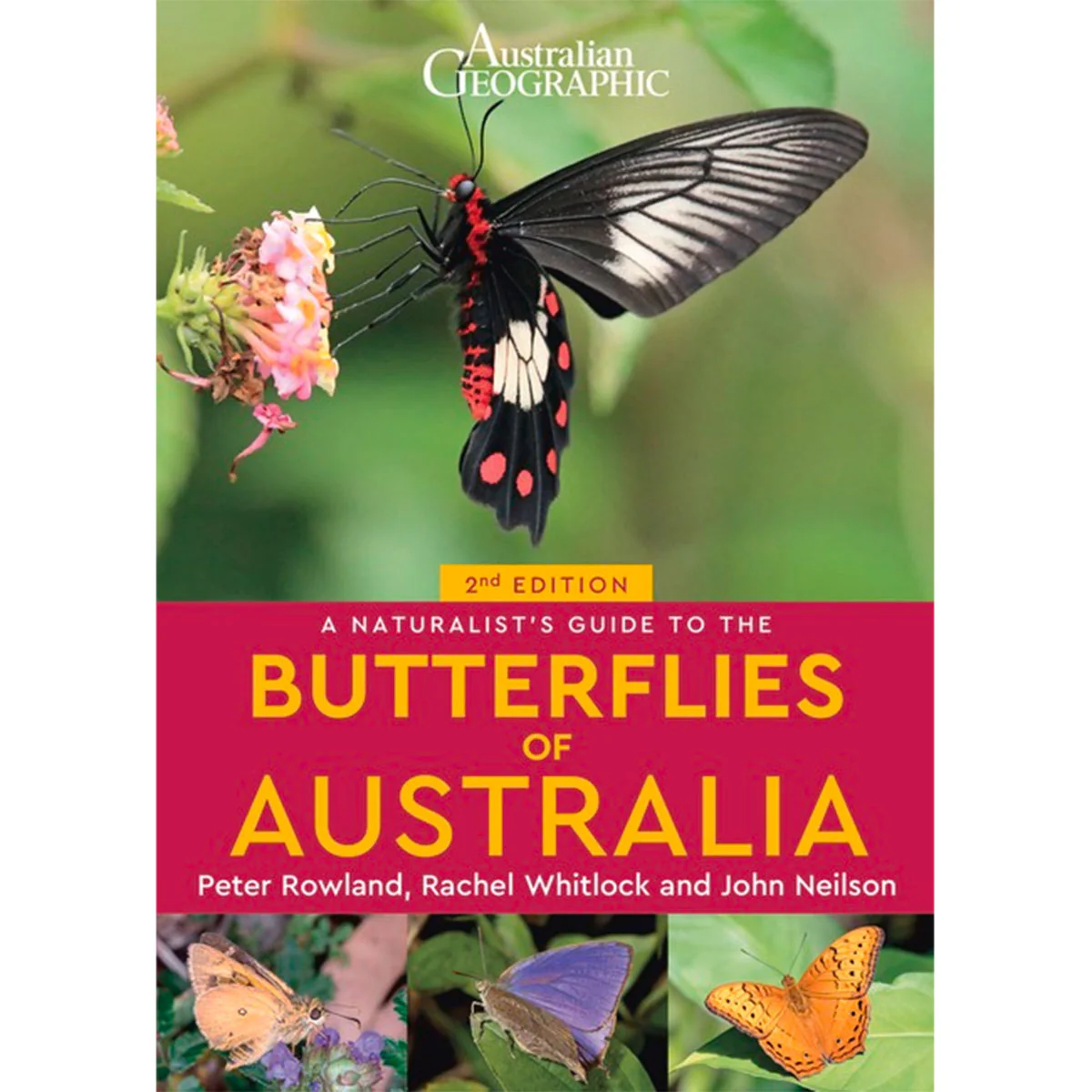 Naturalists Guide to the Butterflies - John Neilson Peter Rowland