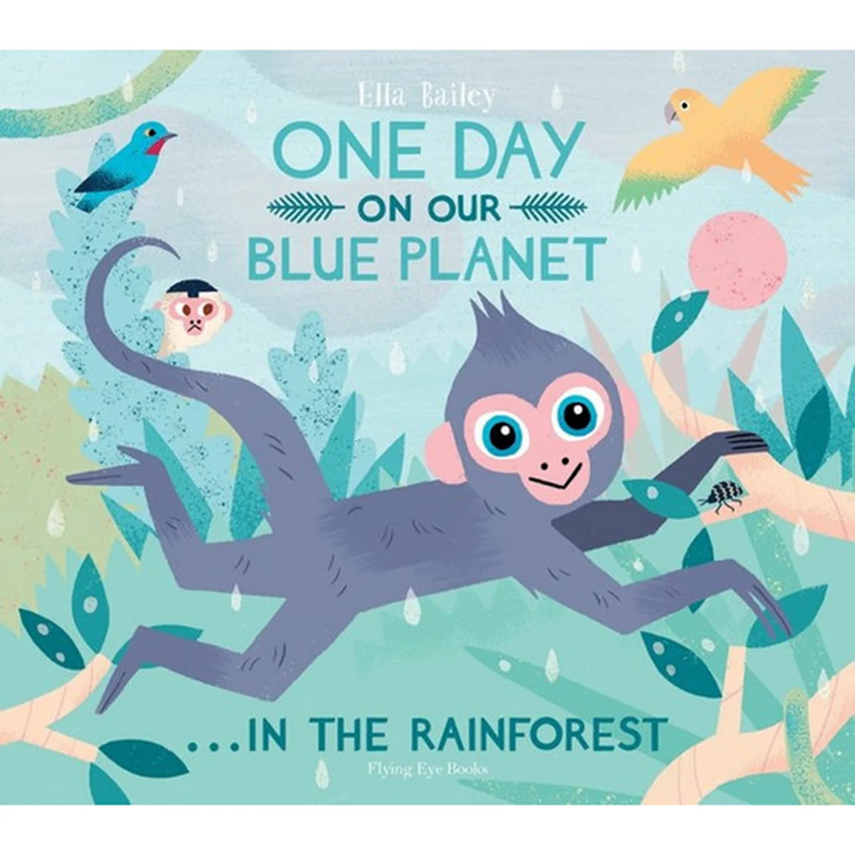 One Day on Our Blue Planet 3: In the Rainforest