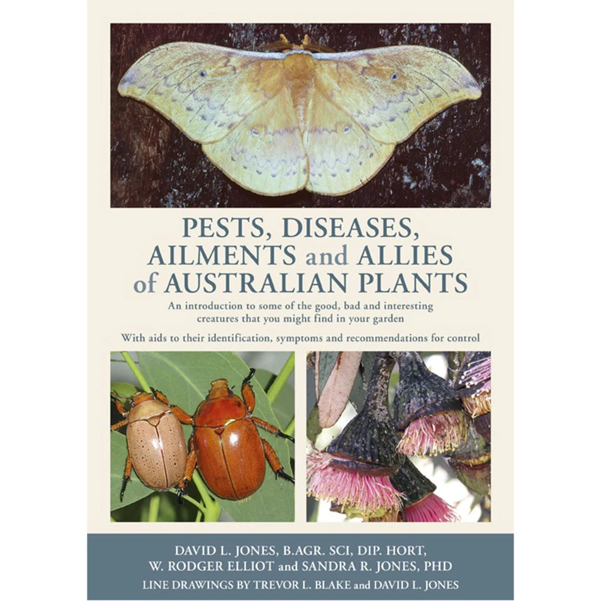 Pest Disease Ailments Allies of Australian Native Plants - D Jones, W Elliot