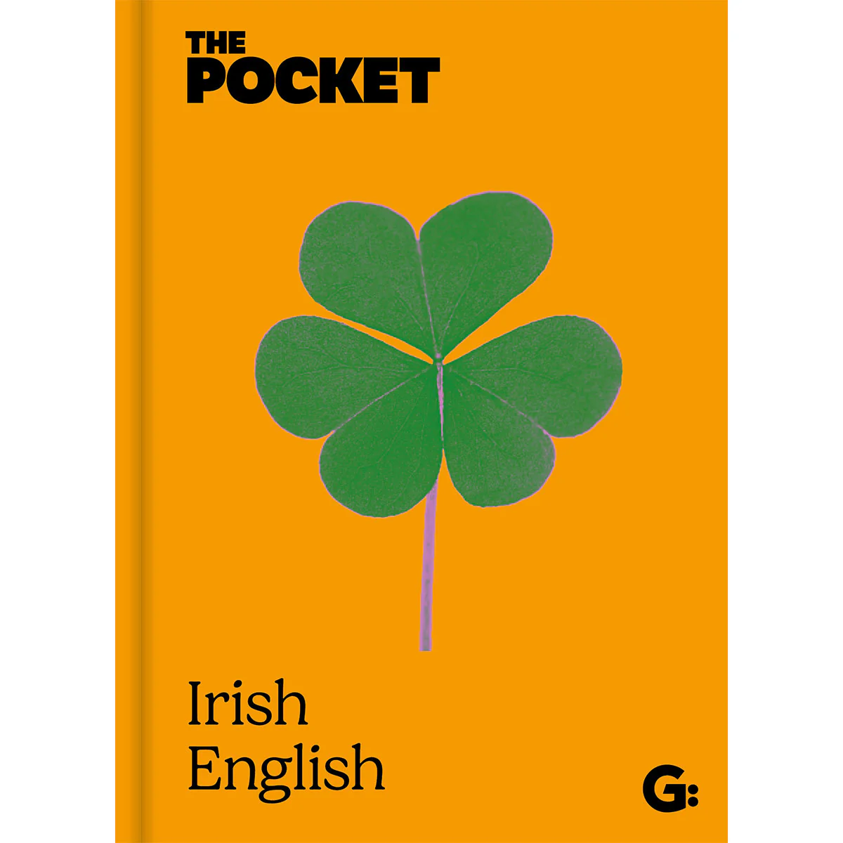Pocket Irish English