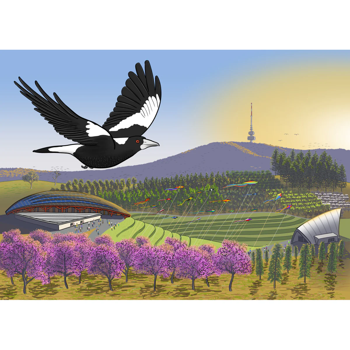Postcard Australian Magpie at the Aboretum - Stuart McMillen